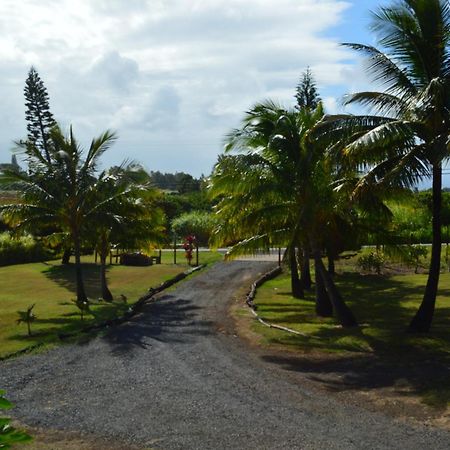 God'S Peace Of Maui Bed & Breakfast Makawao Phòng bức ảnh