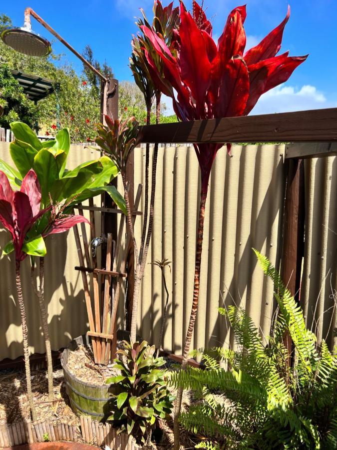 God'S Peace Of Maui Bed & Breakfast Makawao Ngoại thất bức ảnh
