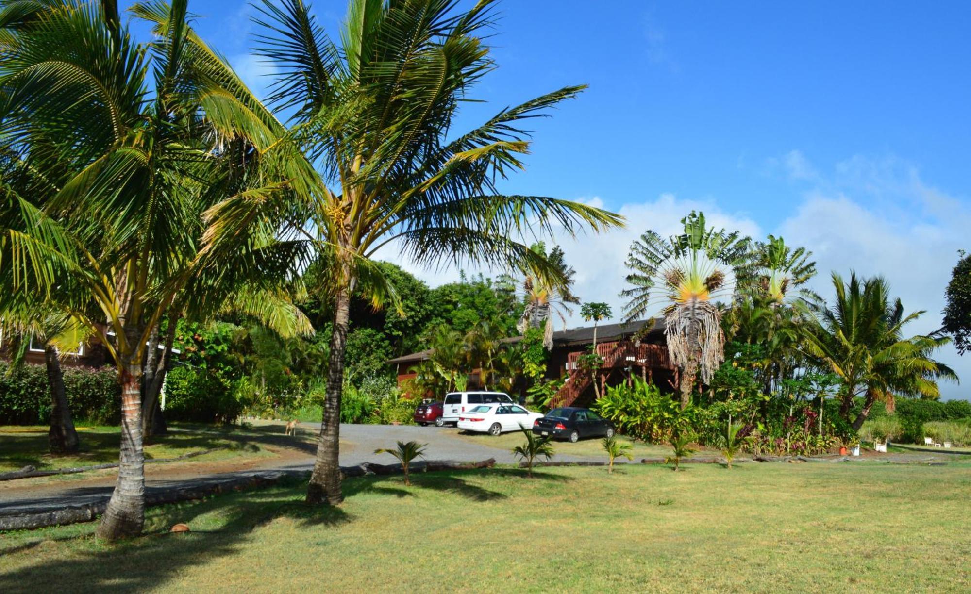 God'S Peace Of Maui Bed & Breakfast Makawao Phòng bức ảnh