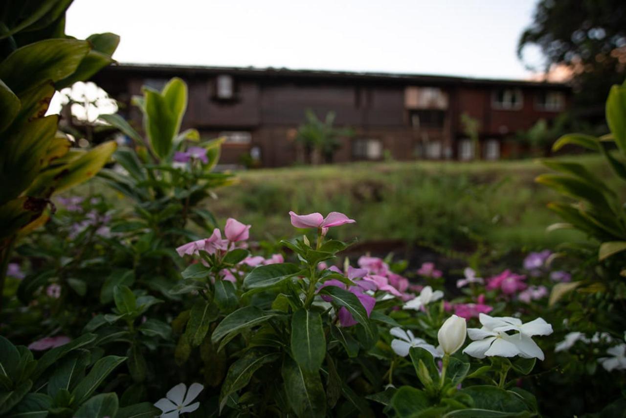 God'S Peace Of Maui Bed & Breakfast Makawao Ngoại thất bức ảnh