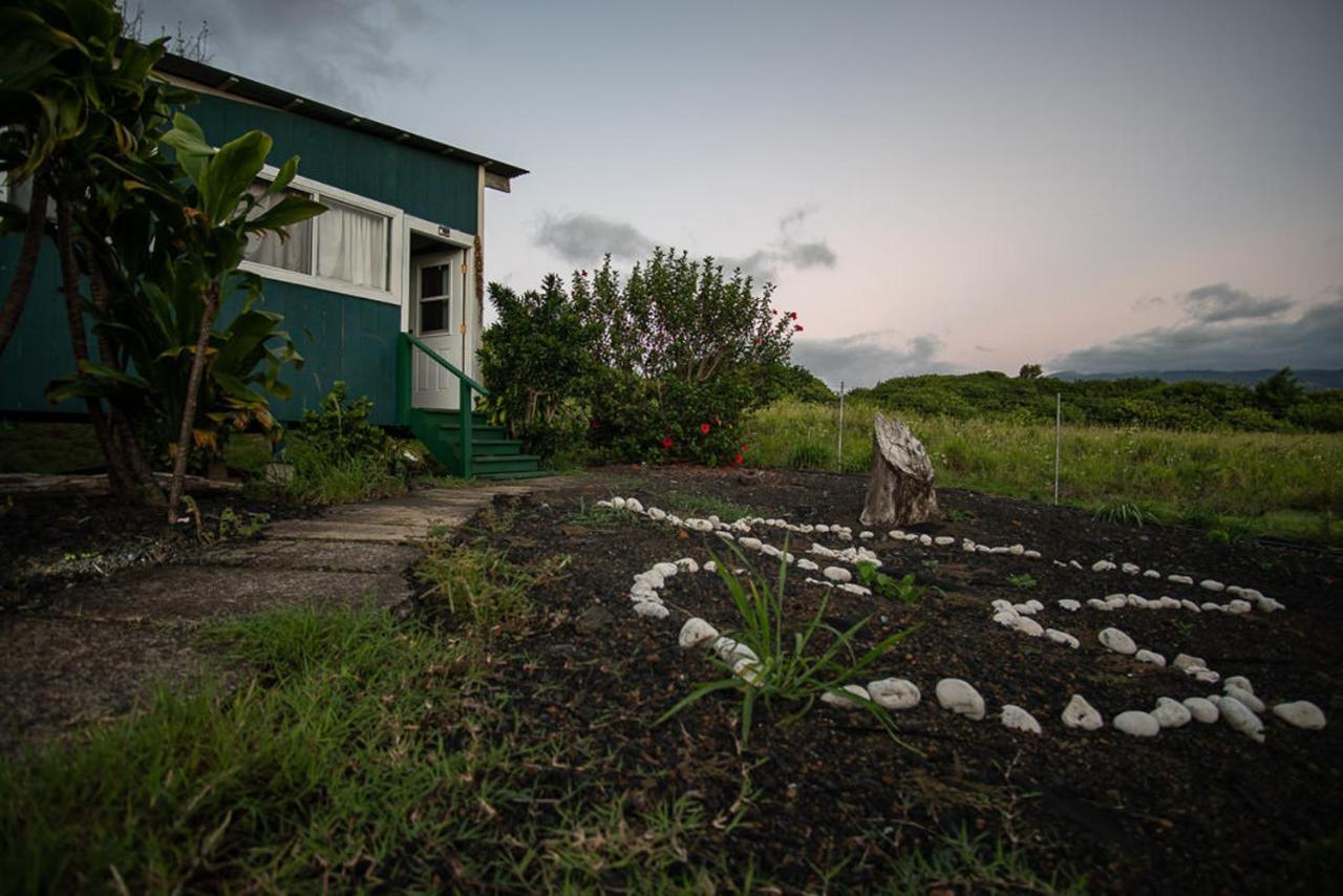 God'S Peace Of Maui Bed & Breakfast Makawao Ngoại thất bức ảnh