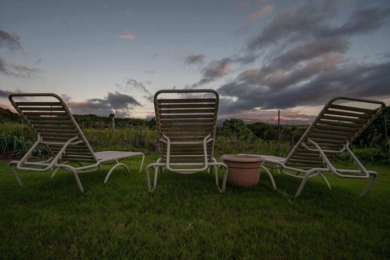God'S Peace Of Maui Bed & Breakfast Makawao Ngoại thất bức ảnh