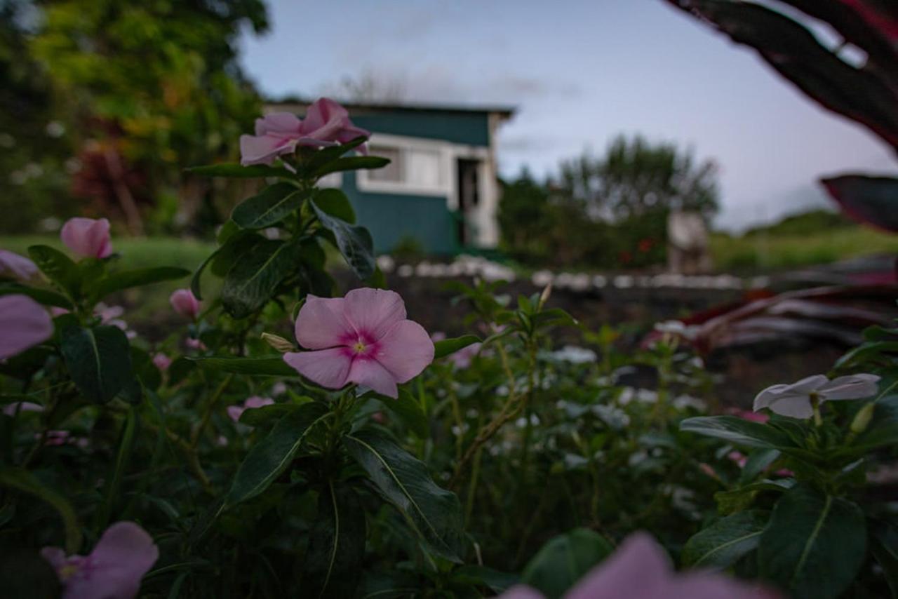 God'S Peace Of Maui Bed & Breakfast Makawao Ngoại thất bức ảnh