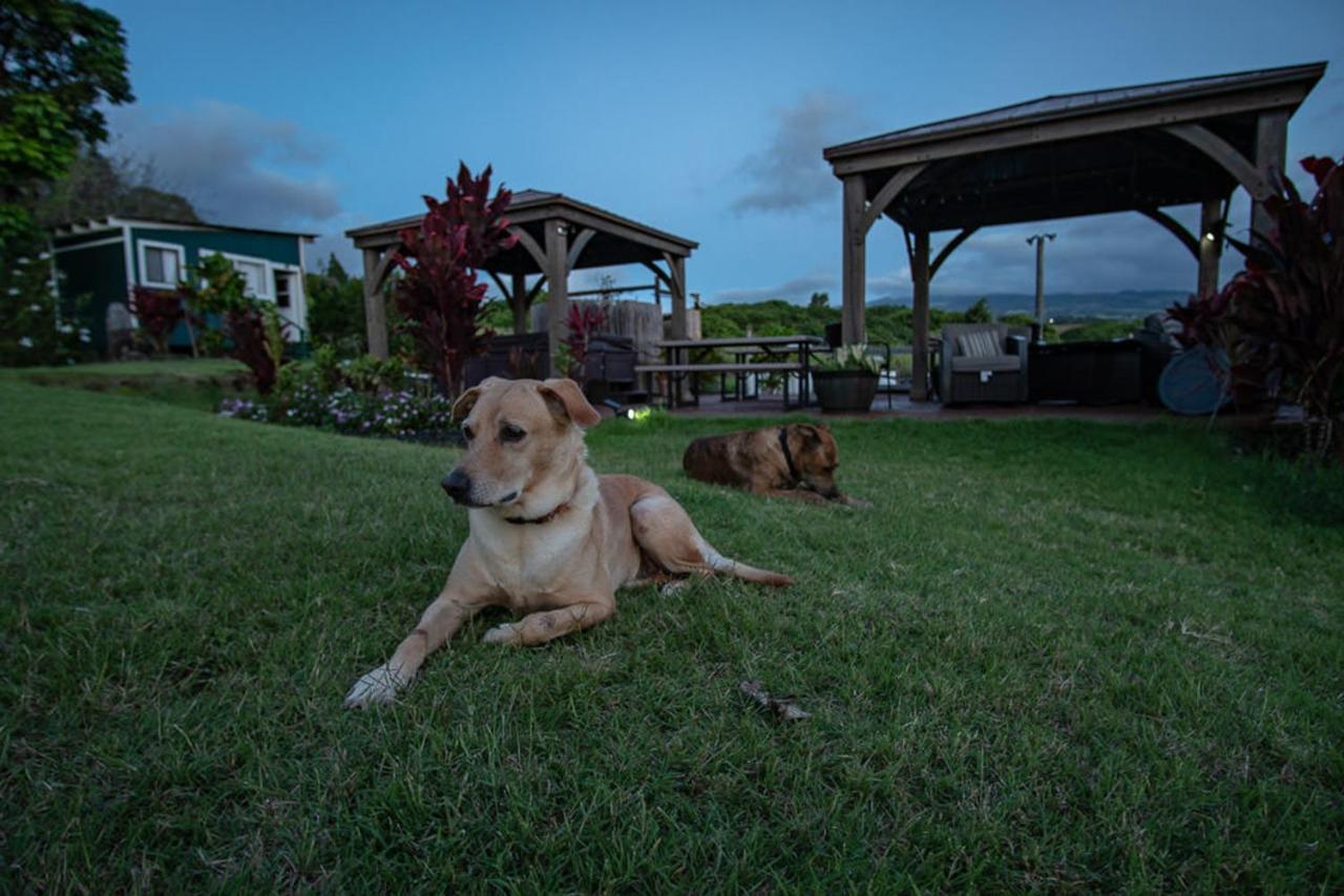 God'S Peace Of Maui Bed & Breakfast Makawao Ngoại thất bức ảnh