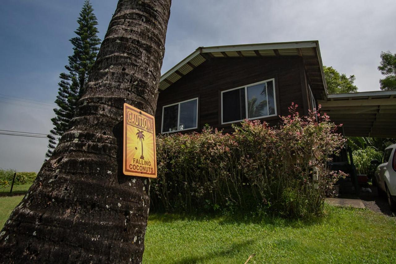 God'S Peace Of Maui Bed & Breakfast Makawao Ngoại thất bức ảnh